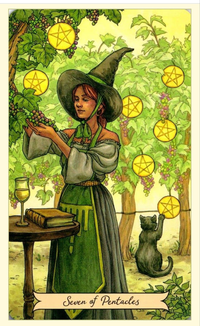 Семёрка пентаклей — Everyday Witch Tarot
