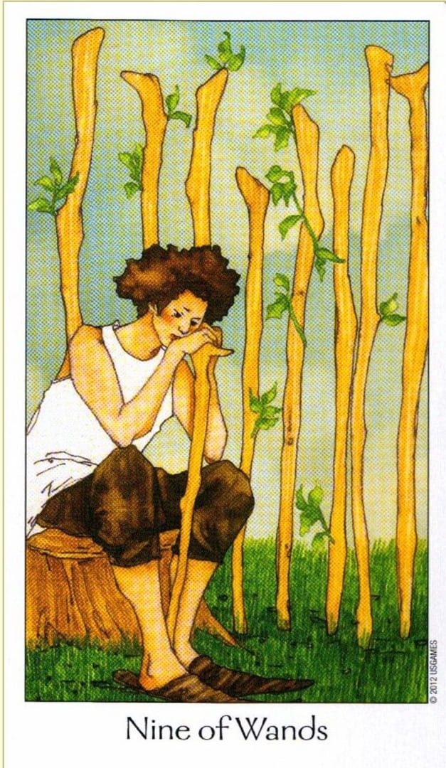 Девятка жезлов — Таро Путь Сновидений