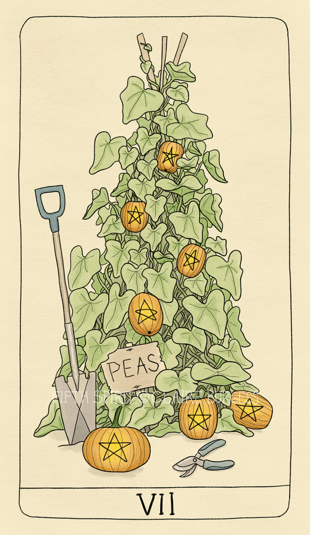 Семёрка пентаклей — Fifth Spirit Tarot