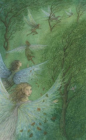 Колесница — Таро Зачарованного леса