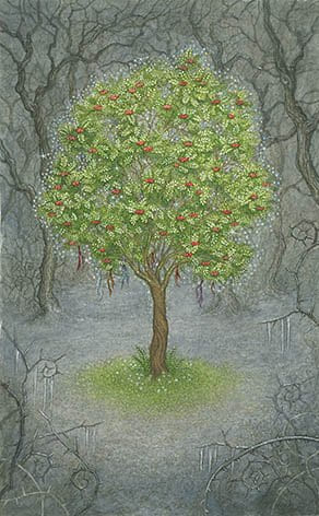 Четверка мечей — Таро Зачарованного леса