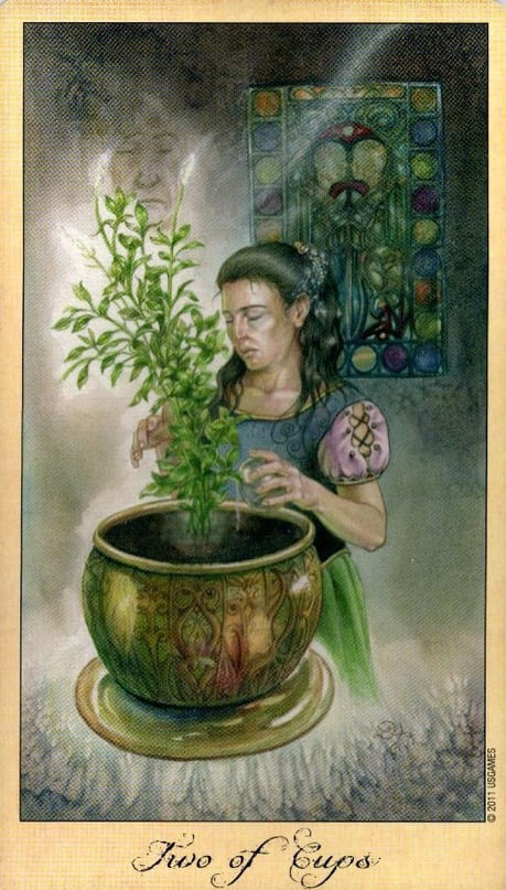 Двойка чаш — Таро Призраков и Духов