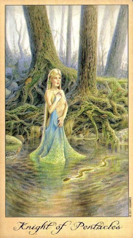 Рыцарь пентаклей