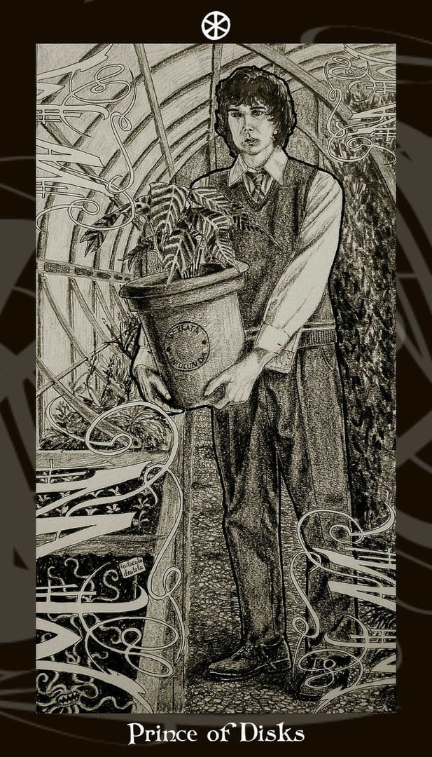 Рыцарь пентаклей — Таро Гарри Поттера