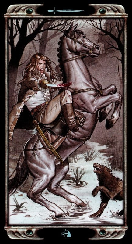 Рыцарь мечей