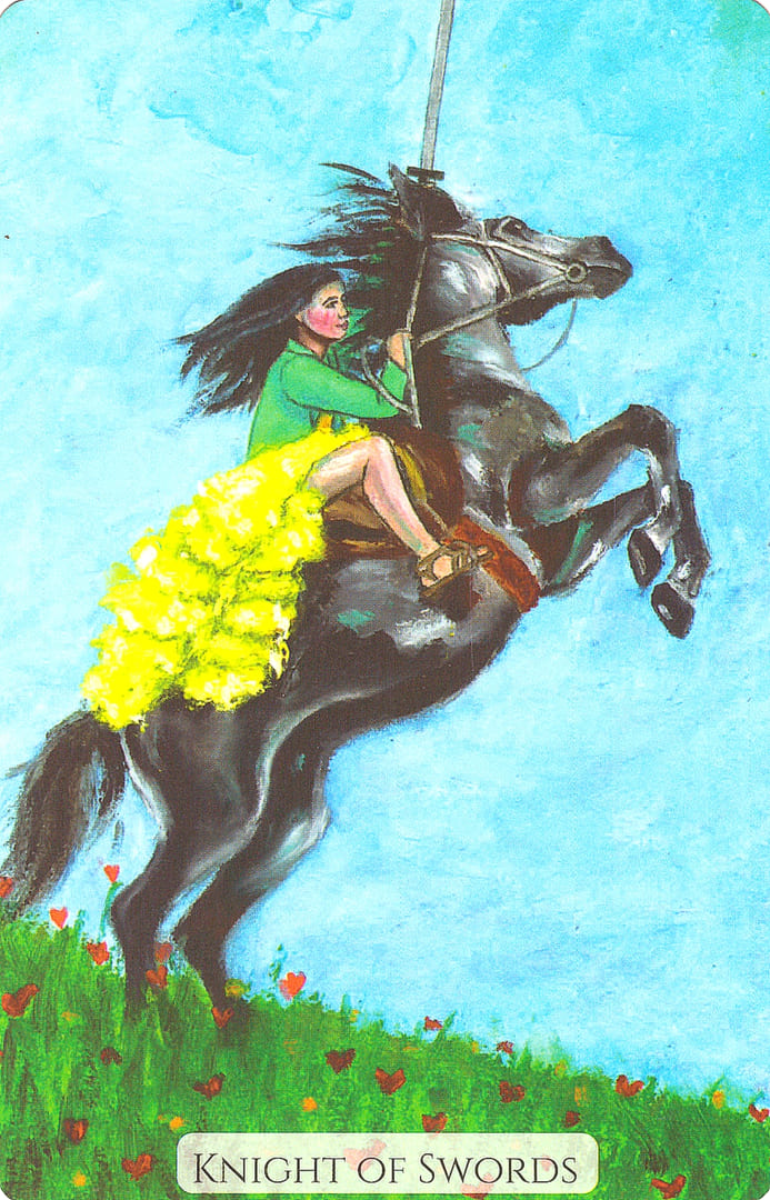 Рыцарь мечей