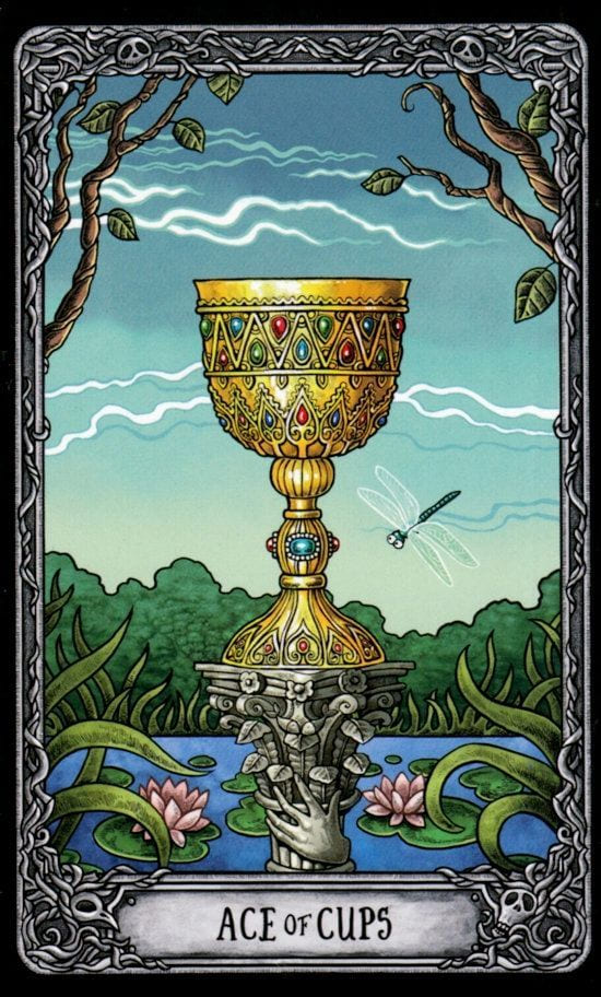 Туз чаш — Таро Тёмный Особняк