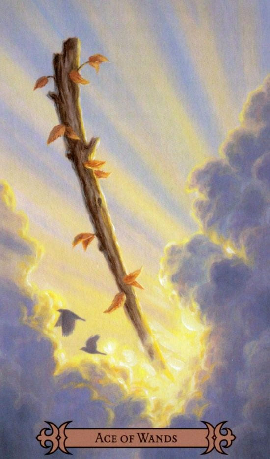 Туз жезлов — Таро Современного Заклинателя