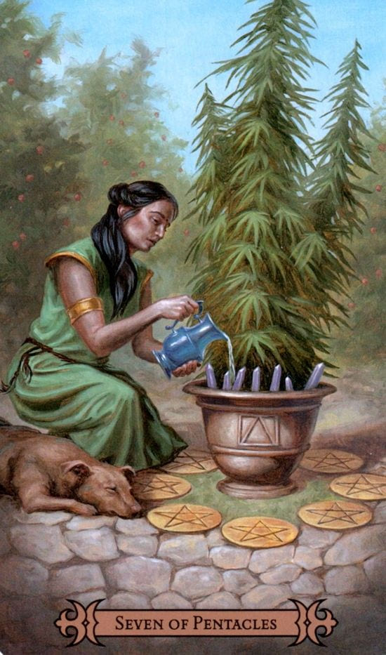 Семёрка пентаклей