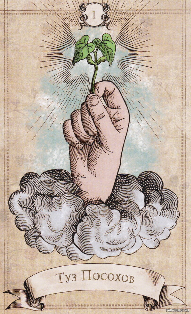 Туз жезлов — Старинное Таро