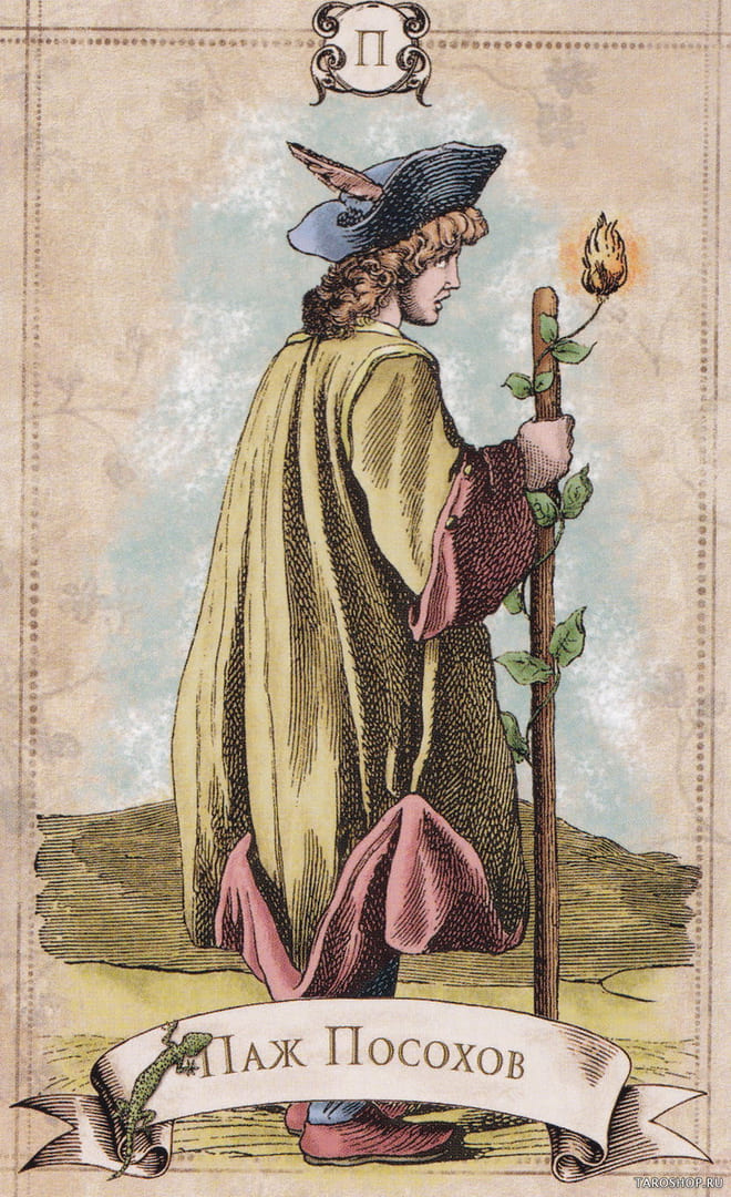 Паж жезлов — Старинное Таро