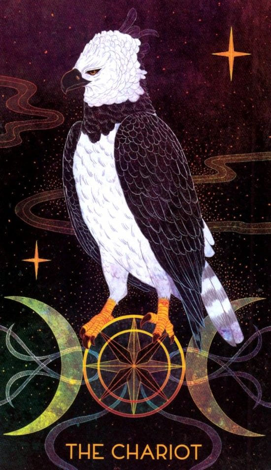 Колесница — Oriens Animal Tarot