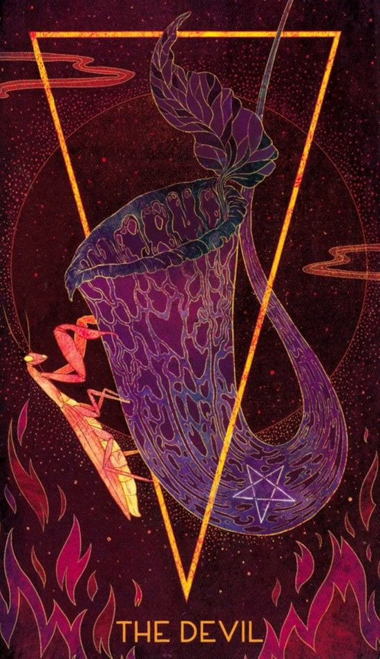 Дьявол — Oriens Animal Tarot