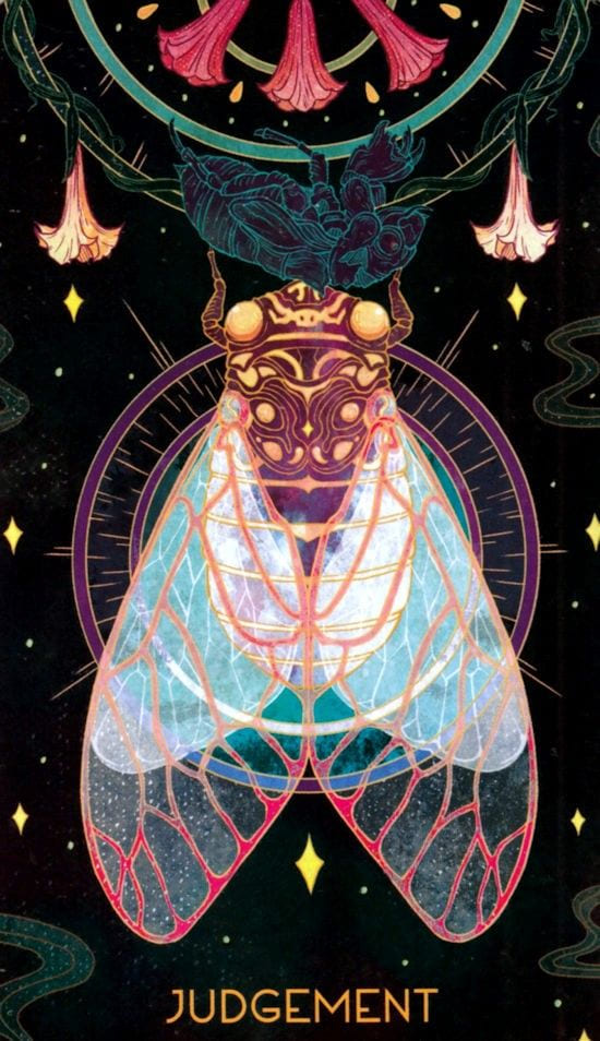 Суд — Oriens Animal Tarot