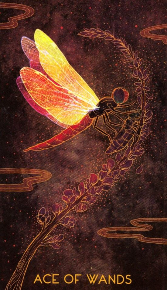 Туз жезлов — Oriens Animal Tarot