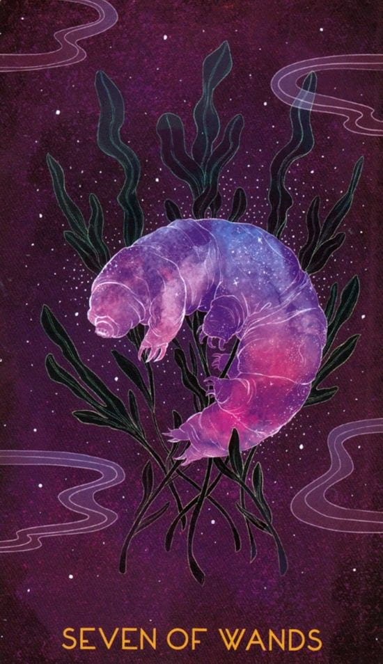 Семёрка жезлов — Oriens Animal Tarot