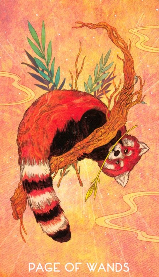 Паж жезлов — Oriens Animal Tarot