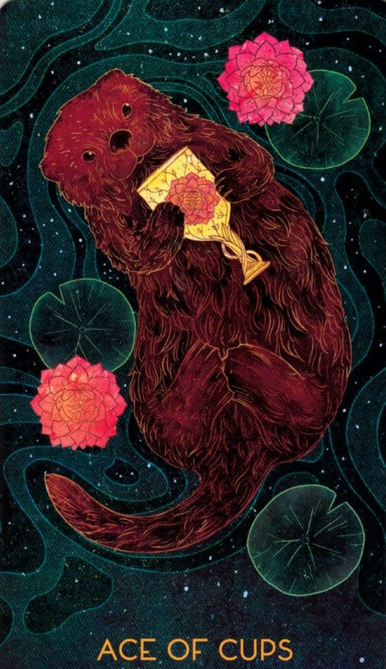 Туз чаш — Oriens Animal Tarot