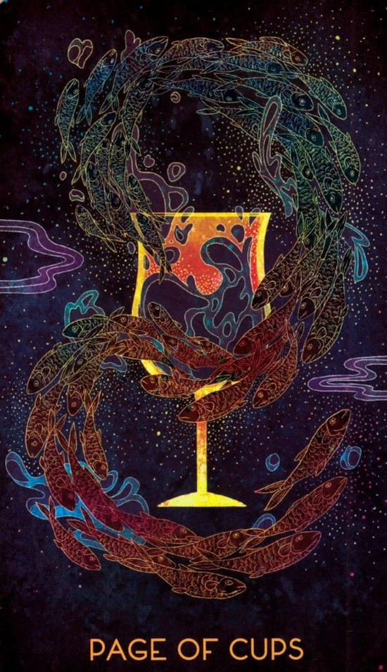 Паж чаш — Oriens Animal Tarot