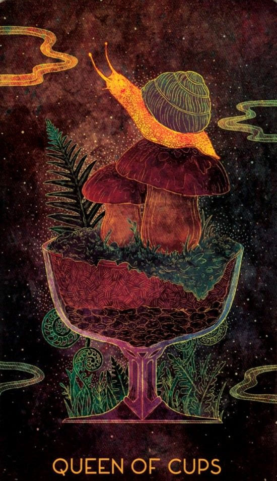 Королева чаш — Oriens Animal Tarot