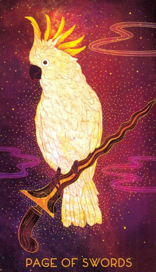 Паж мечей — Oriens Animal Tarot