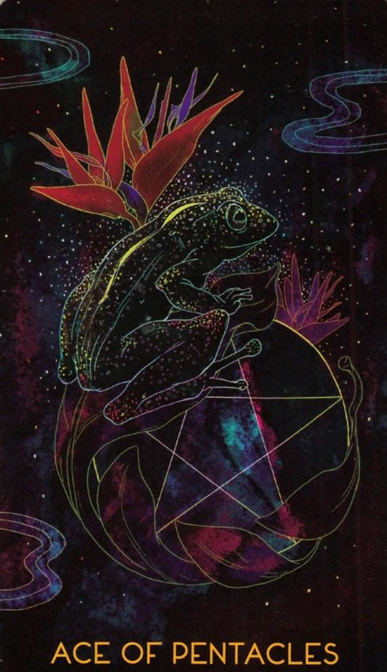 Туз пентаклей — Oriens Animal Tarot