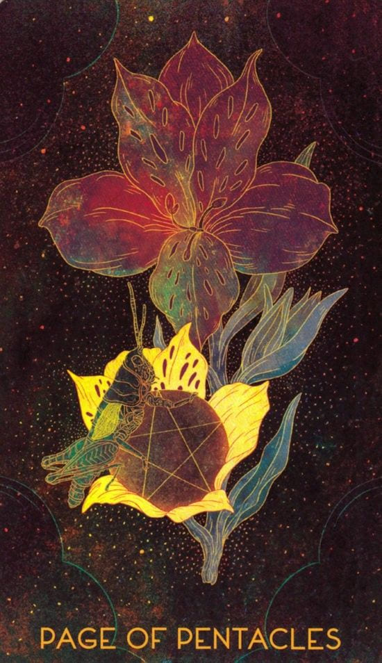 Паж пентаклей — Oriens Animal Tarot