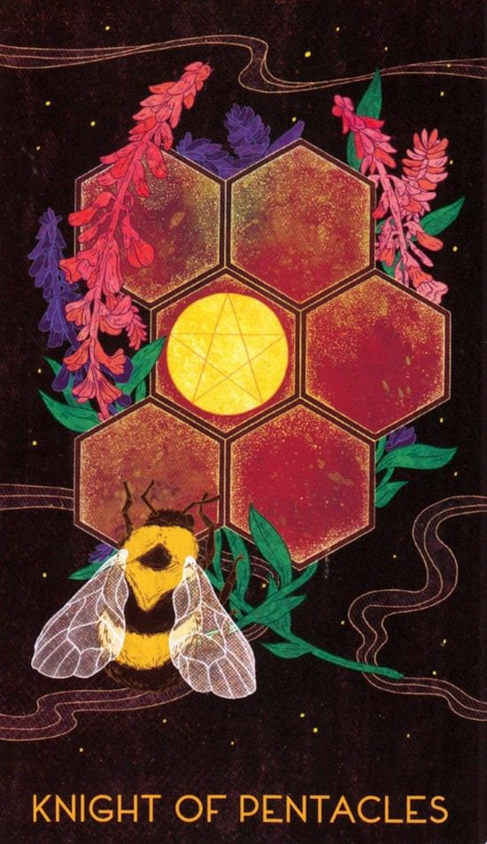 Рыцарь пентаклей — Oriens Animal Tarot