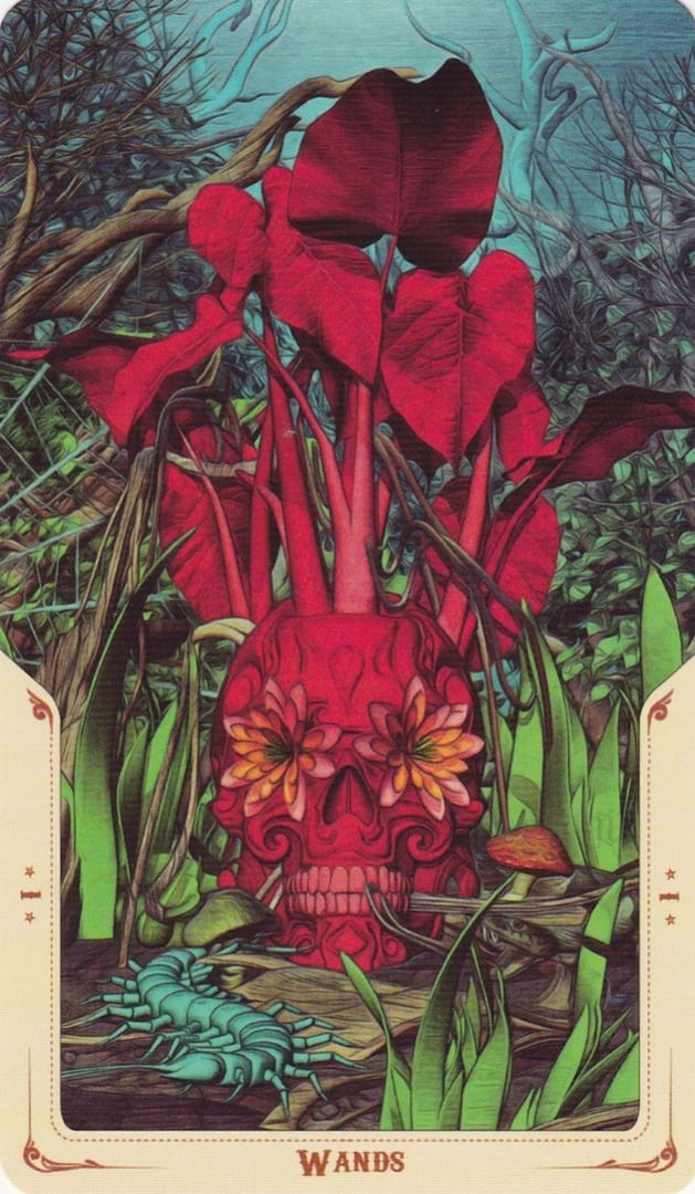 Туз жезлов — Таро Святой Смерти (Santa Muerte)