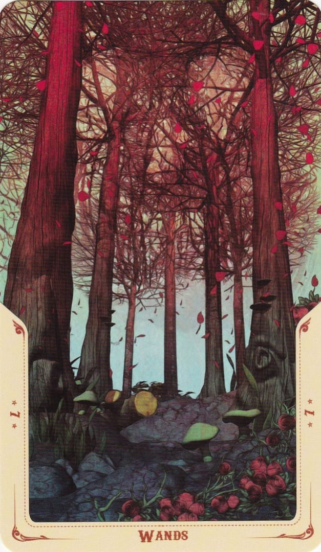 Семёрка жезлов