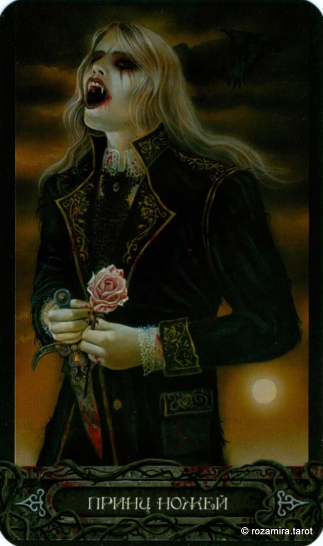 Рыцарь мечей