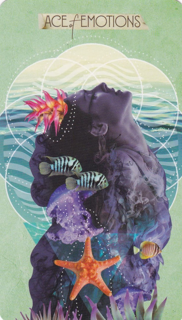 Туз чаш — Таро Музы