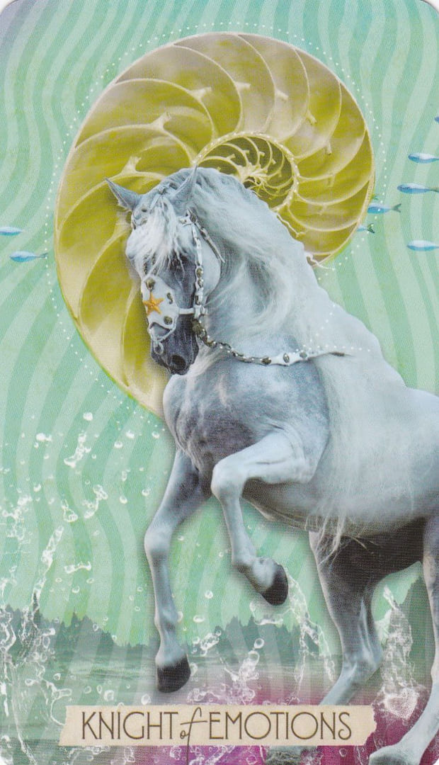 Рыцарь чаш — Таро Музы