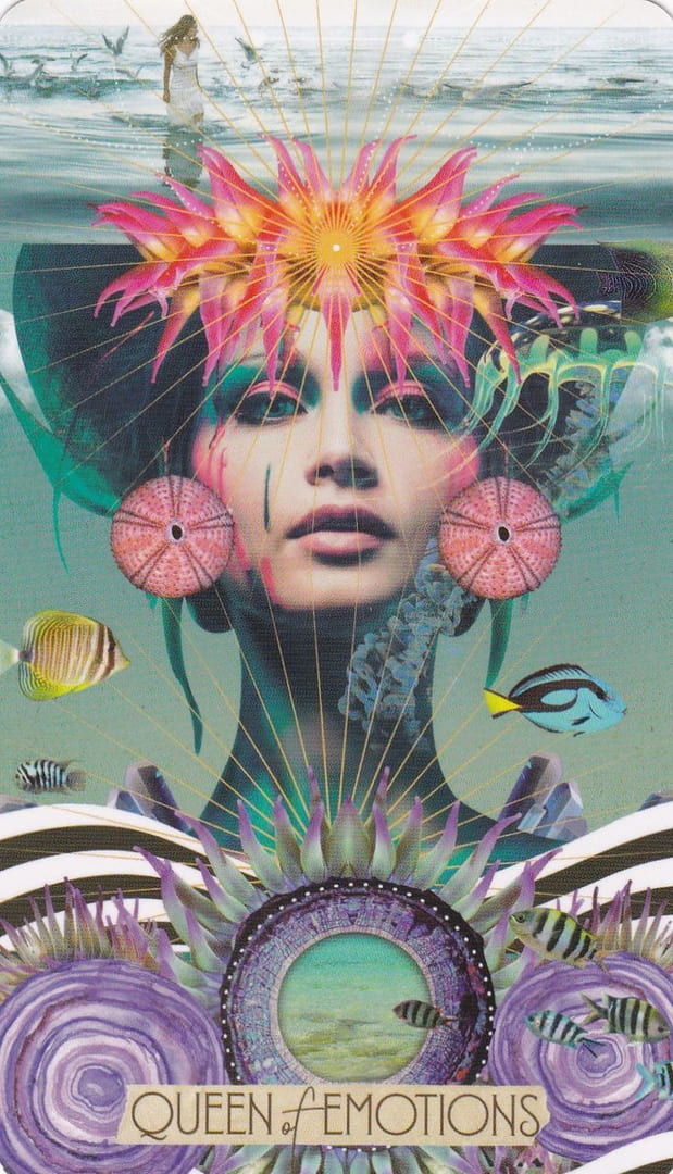 Королева чаш — Таро Музы