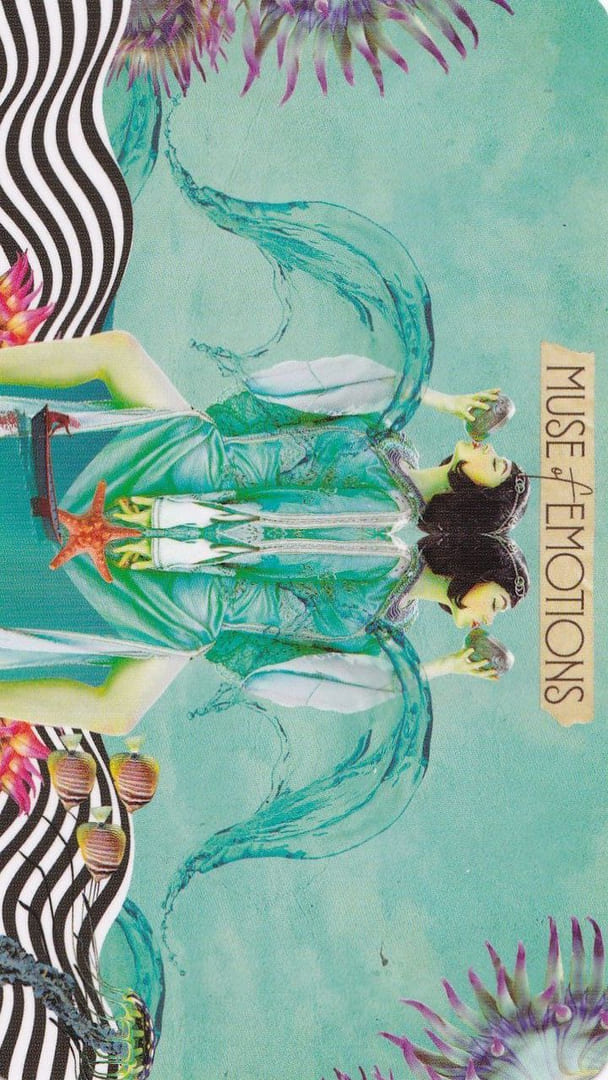 Король чаш — Таро Музы