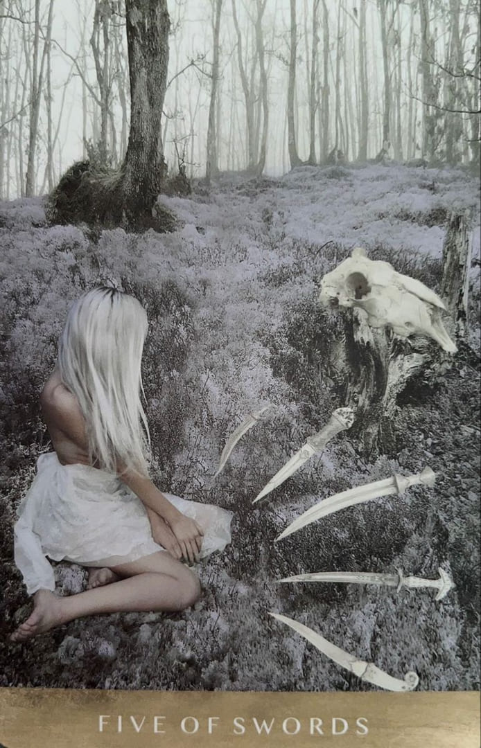 Пятёрка мечей — Таро Лунного Дитя